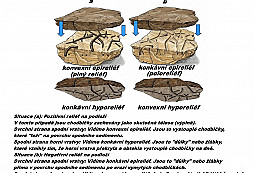 Stopové zkameněliny