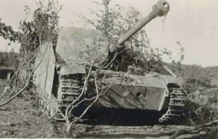 Zvětšit obrázek