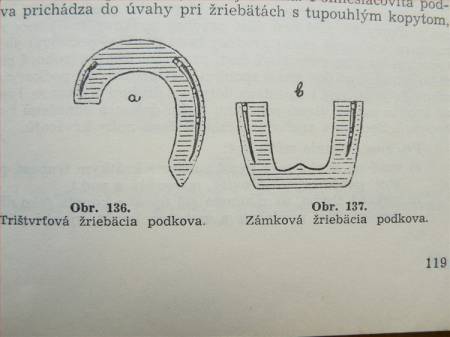Zvětšit obrázek