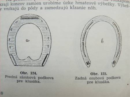 Zvětšit obrázek