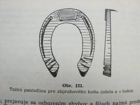 Zvětšit obrázek