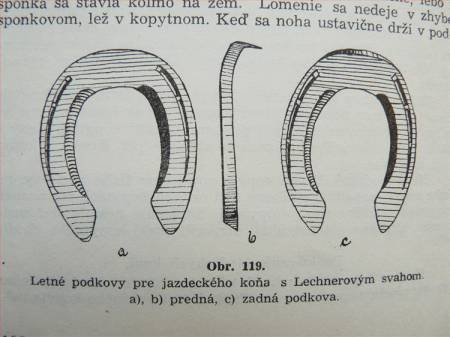 Zvětšit obrázek