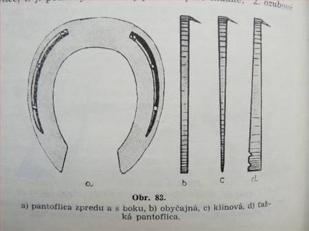 Zvětšit obrázek