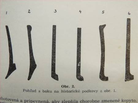 Zvětšit obrázek