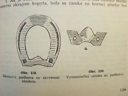 Zvětšit obrázek
