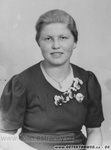 Zvětšit obrázek