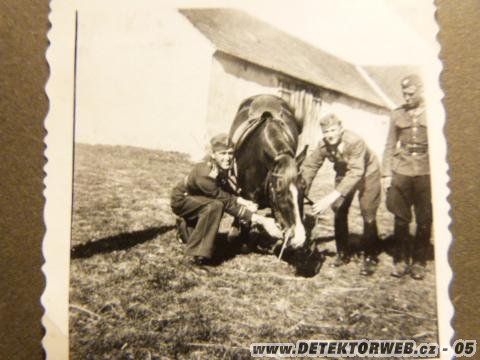 Zvětšit obrázek