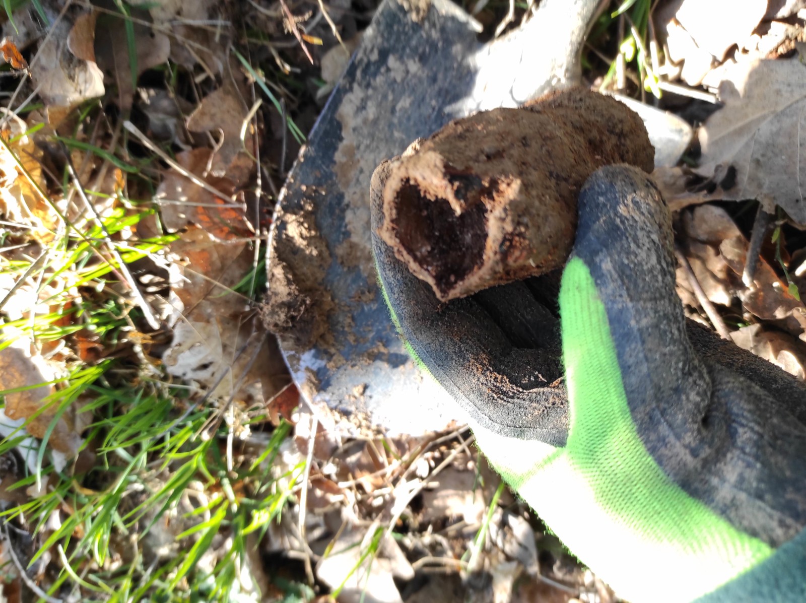 Ešte trocha šrotu z lesa