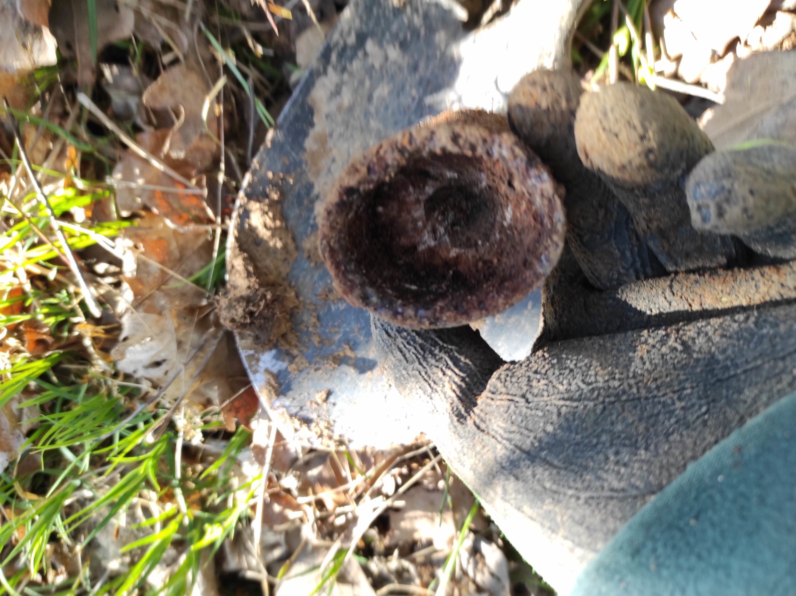 Ešte trocha šrotu z lesa