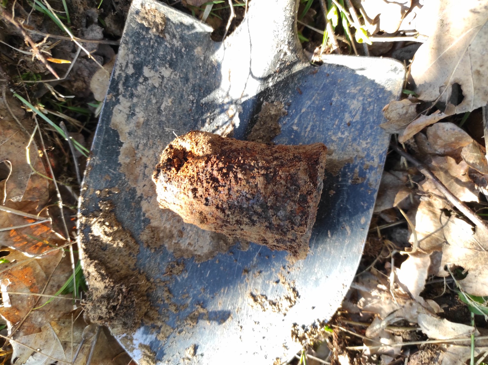 Ešte trocha šrotu z lesa