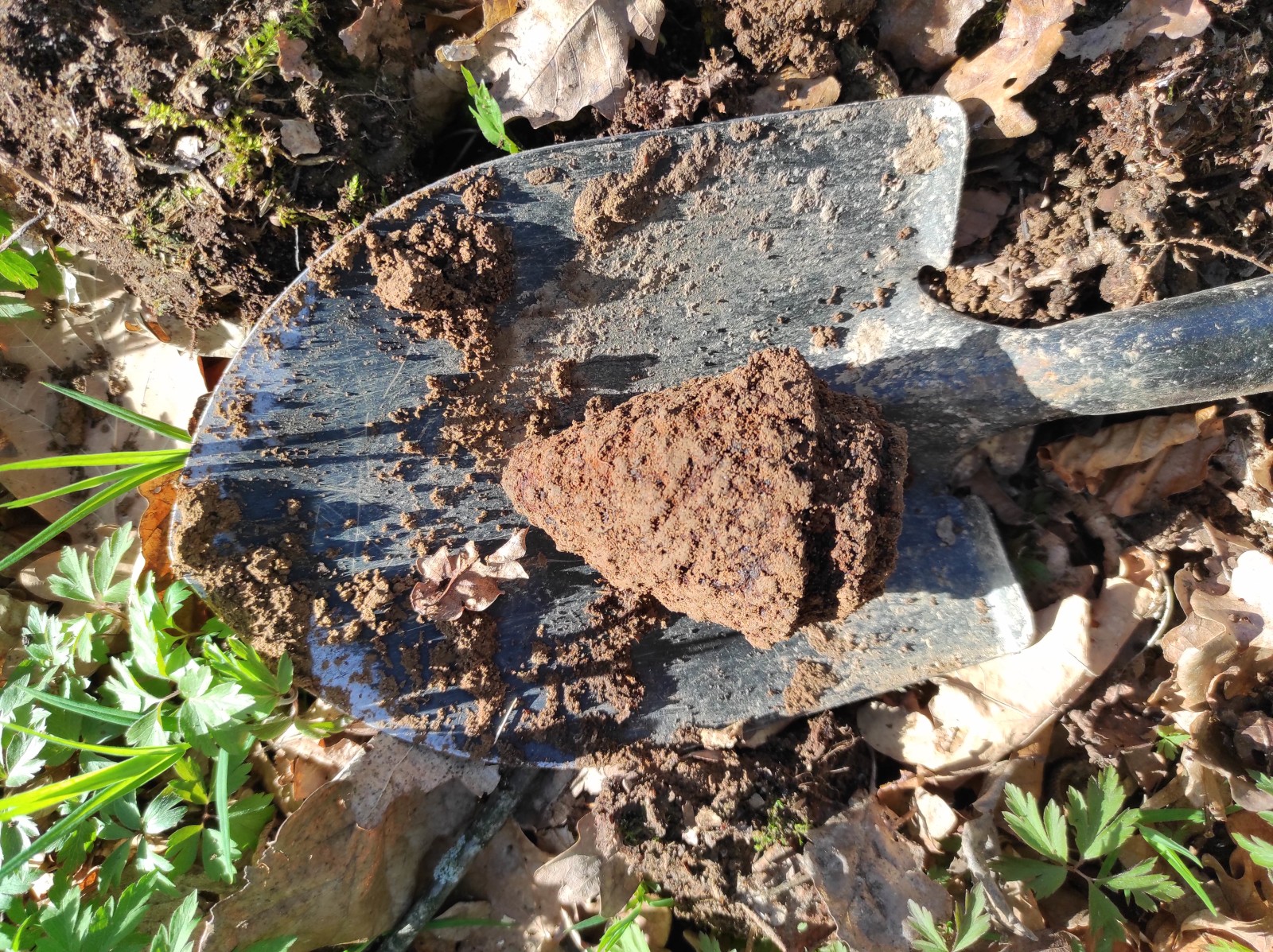 Ešte trocha šrotu z lesa